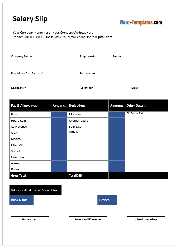Salary Slip Template 04