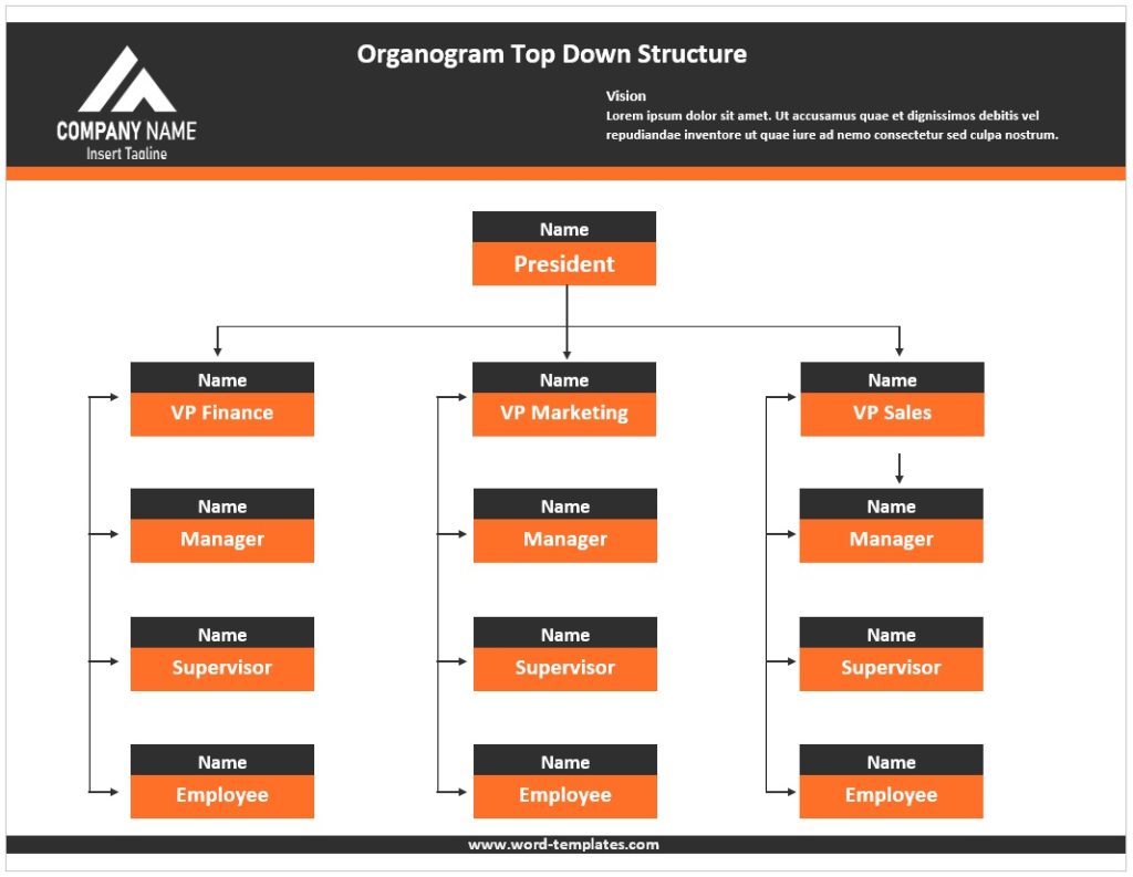 Organogram Top Down Structure Template 3