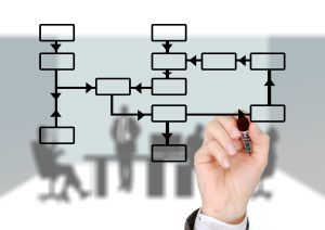organogram chart