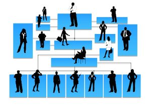 organogram-tree