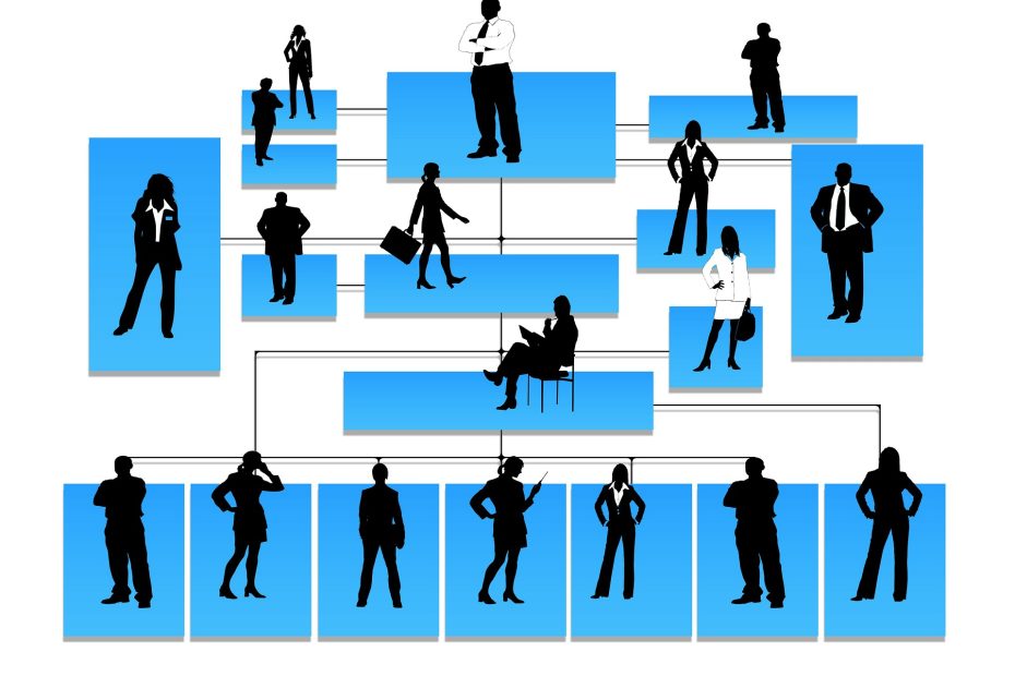 organogram-tree