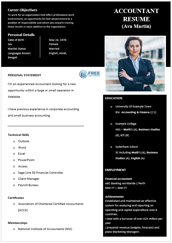 Stylish Resume Format